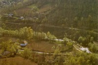 Country landscape
